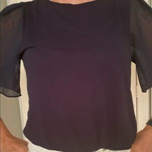 Ann Taylor Loft Navy Sheer Sleeve Top with Sheer Sequin Sleeves - Medium